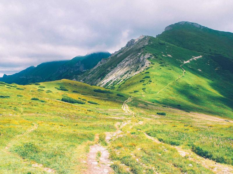 无法获取应用<br>点击获取没反应一站式教程